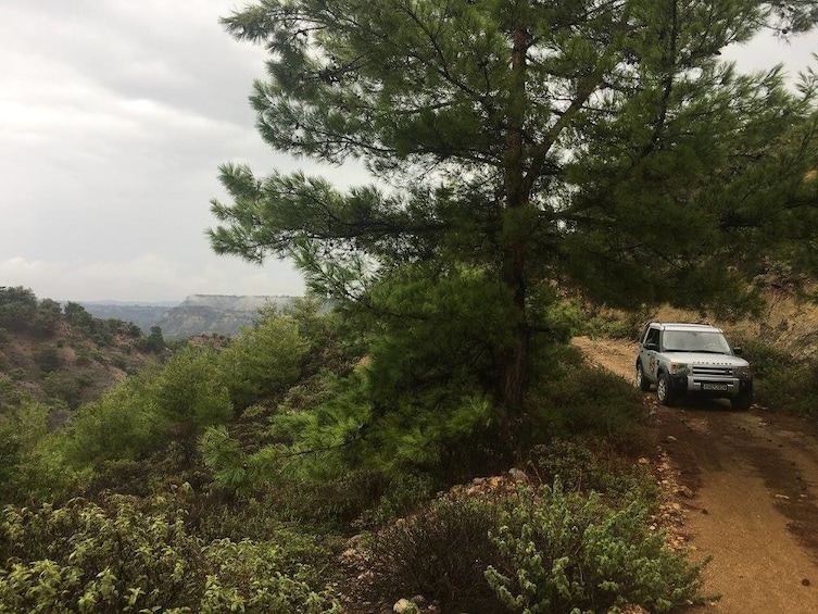 Land rover on dirt path among trees on Rhodes coastline