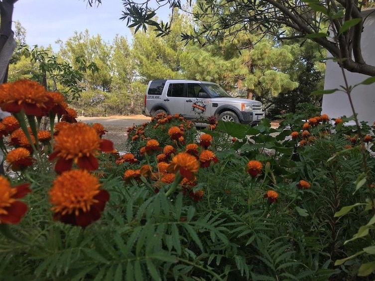 Orange flowers and Land Rover in Rhodes, Greece