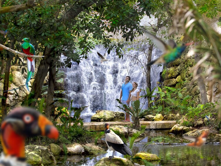 Xcaret Park Tickets Roundtrip Included 