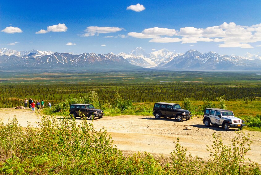 Denali Highway Jeep Excursion 