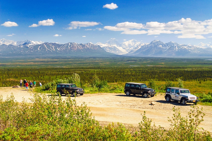 Denali Highway Jeep Excursion