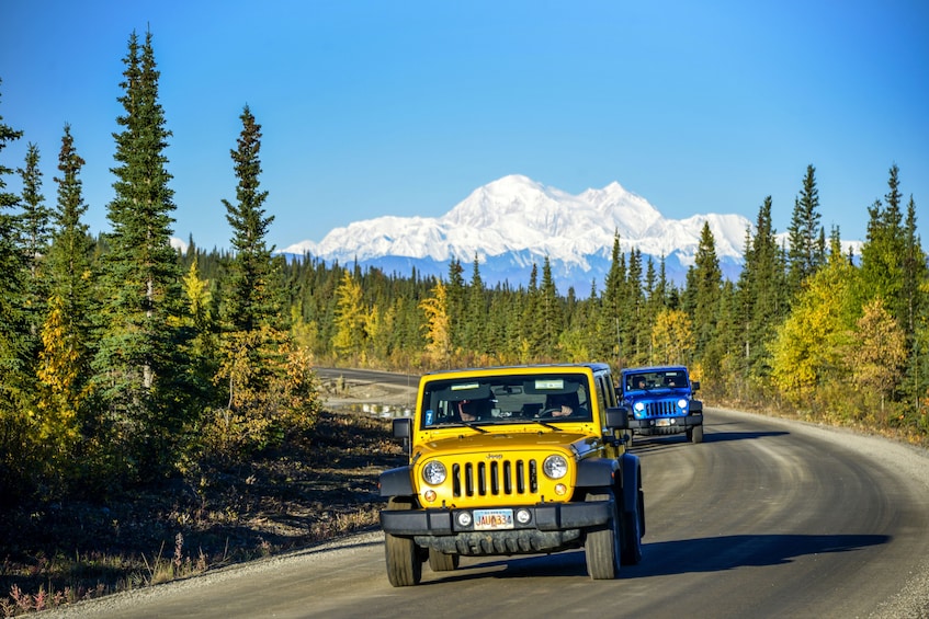 Denali Highway Jeep Excursion