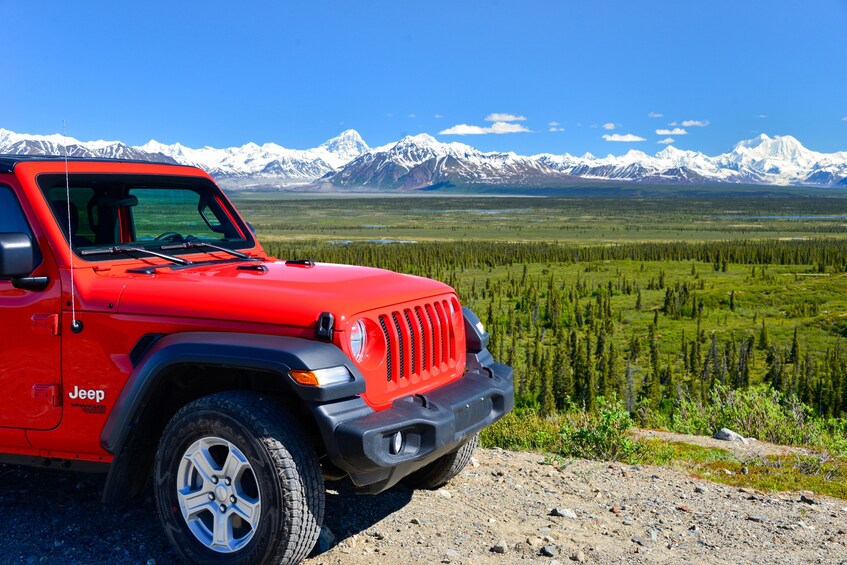 Denali Highway Jeep Excursion 