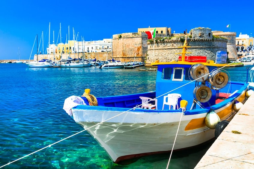 Small, colorful boat docked in Italy