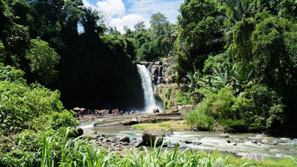 Show item 2 of 8. Bali Sensational: Ubud and Tanah Lot Temple Tour