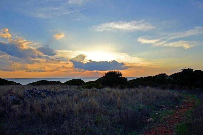 Half-Day Tour to the Ionian Coast: