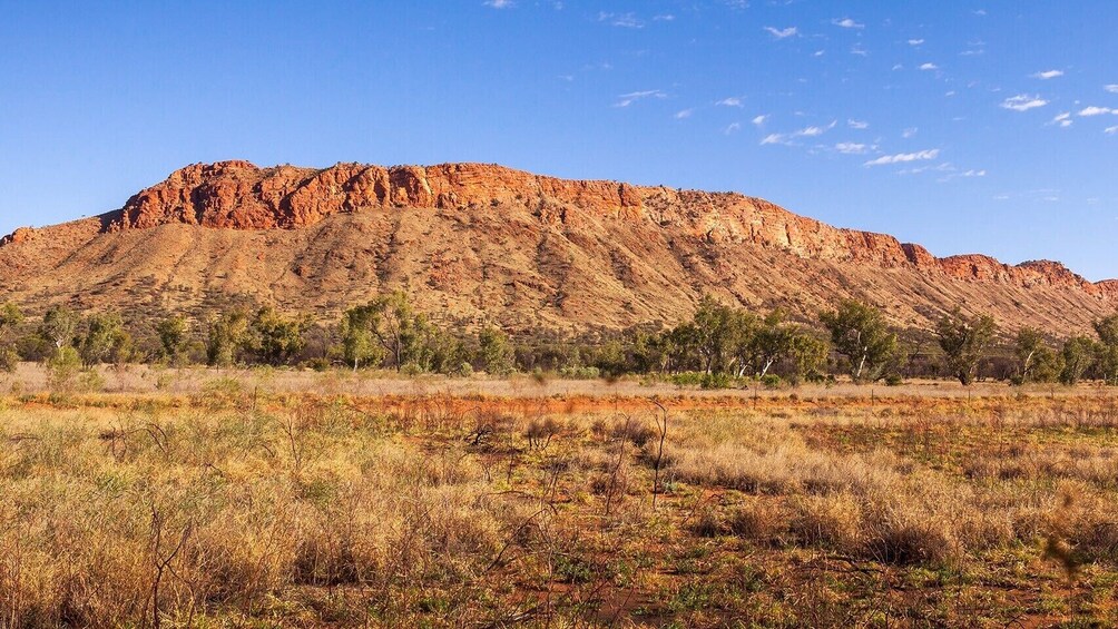 West MacDonnell Ranges Safari