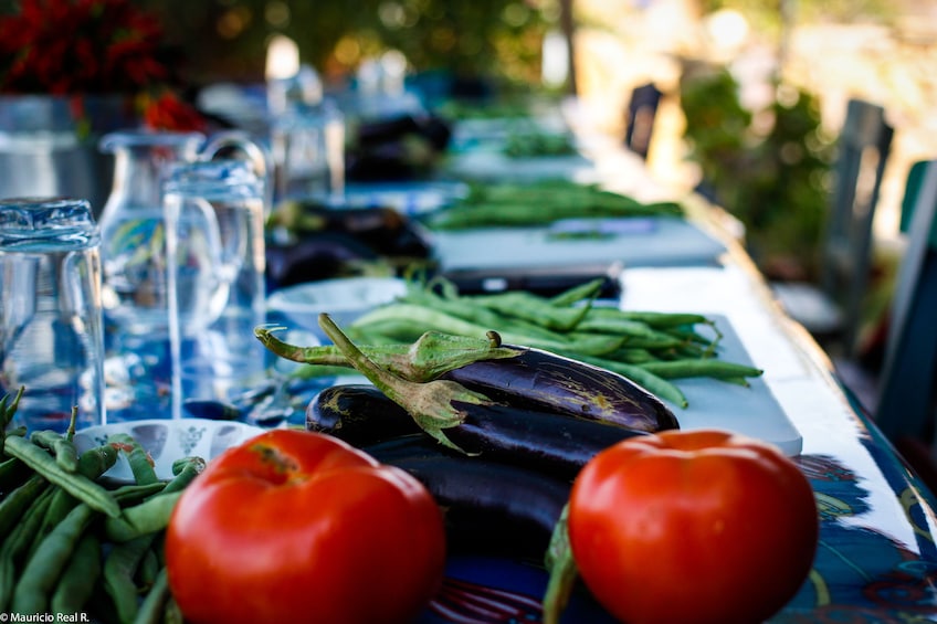 Farmers Market Visit and hands onTurkish Home Cooking Class 