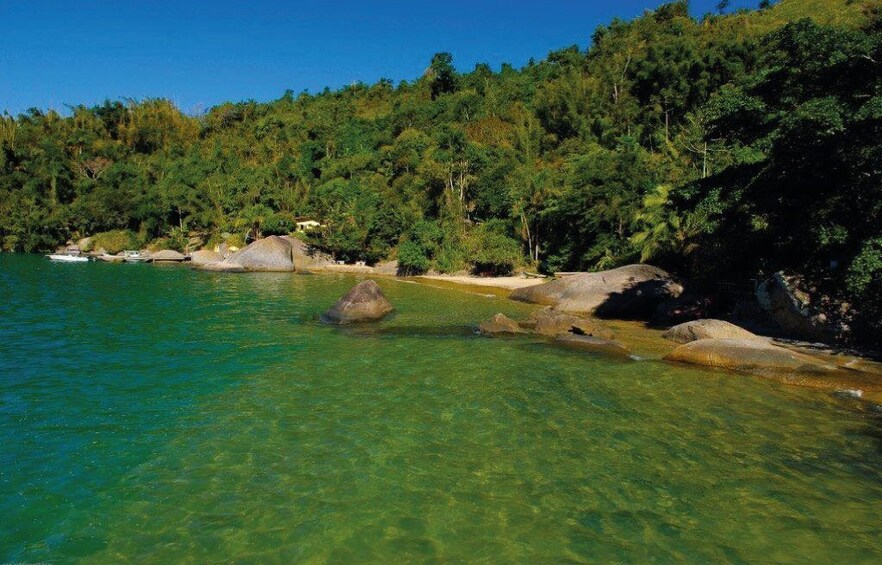 Saco Do Mamanguá Expedition