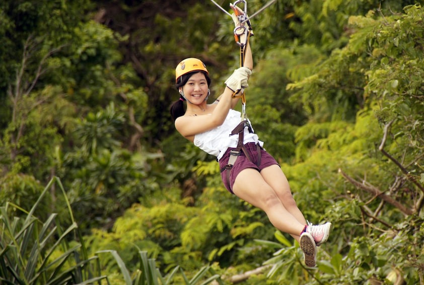 Show item 1 of 9. Zipline Adventure Park
