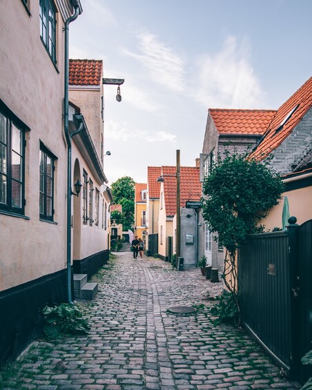 Show item 3 of 7. Cobblestone alleyway in Denmark
