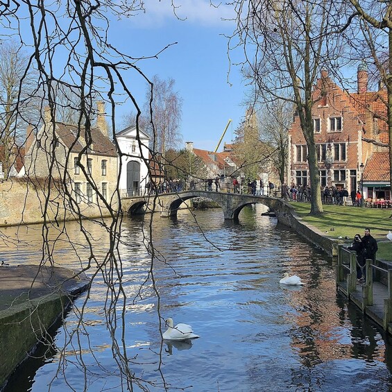 Windmills and Tulips 10-Day River Cruise