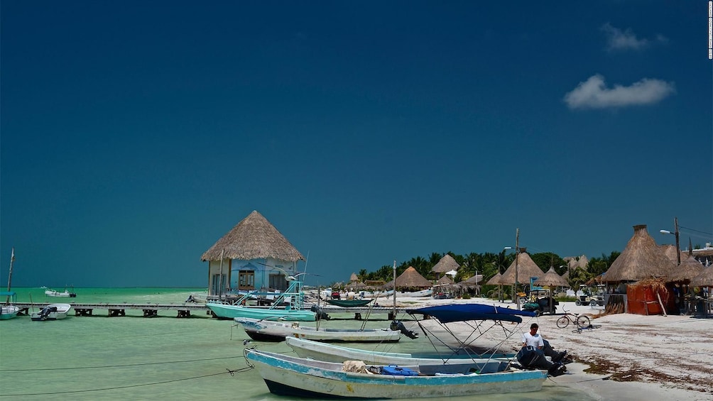 Shared Tour to Holbox 