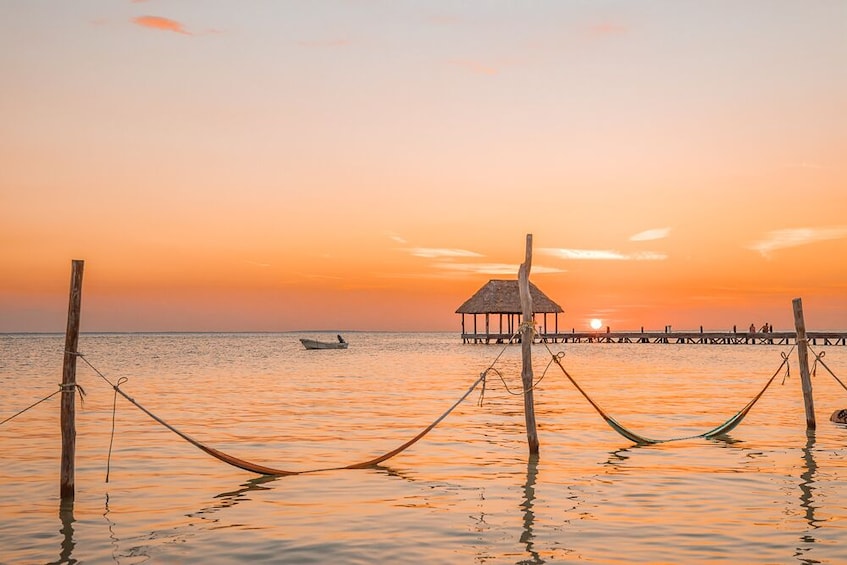 Shared Tour to Holbox 