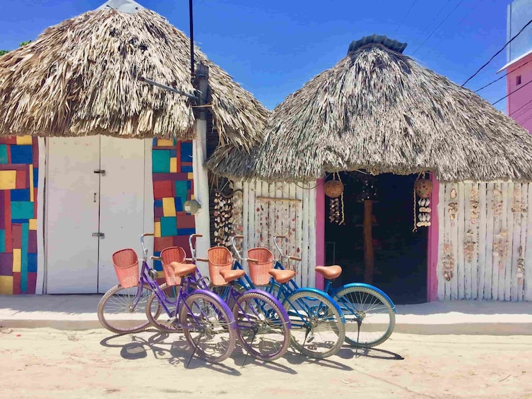 Shared Tour to Holbox 