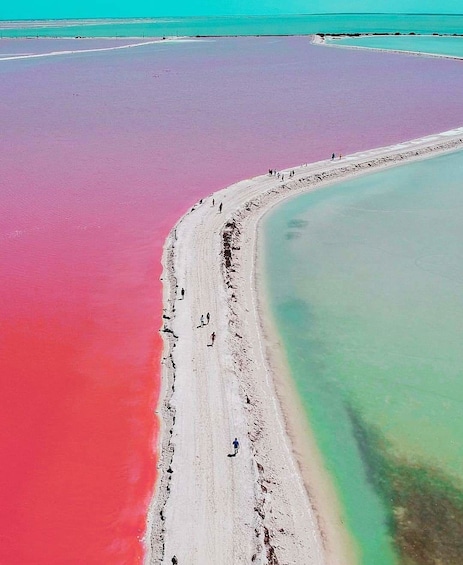 Tour of Las Coloradas & Rio Lagartos