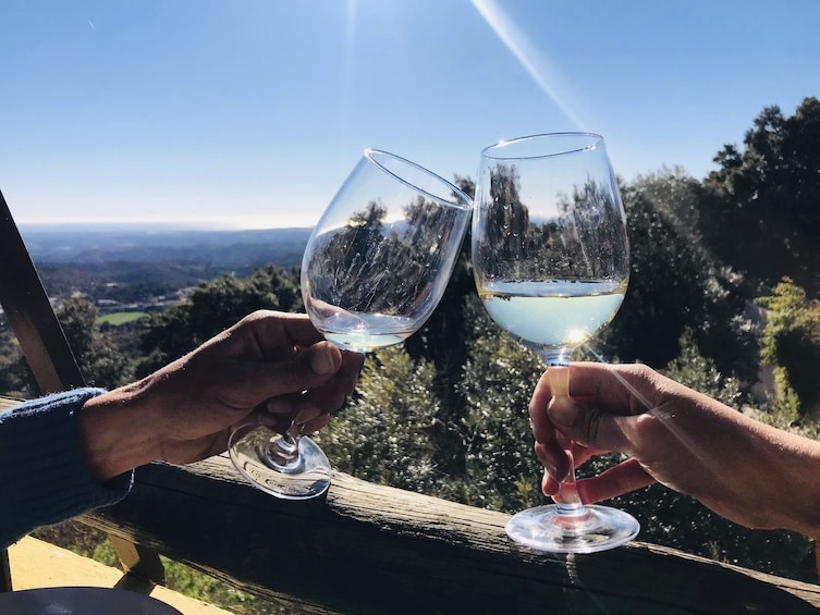 Show item 1 of 8. wine tasting tour