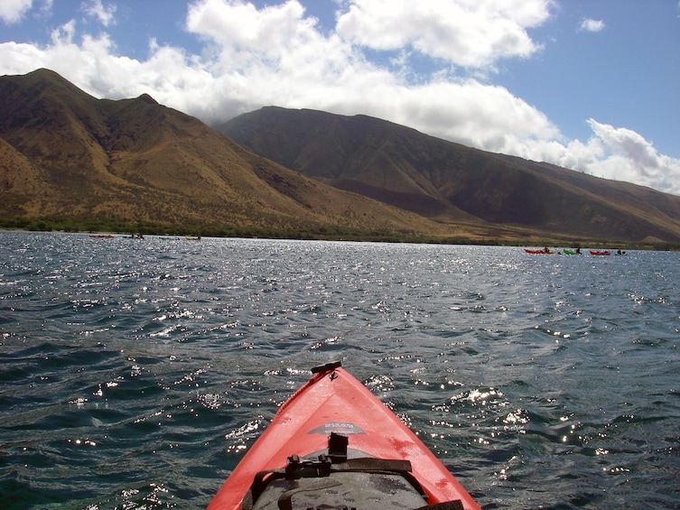 West Side Snorkel Safari