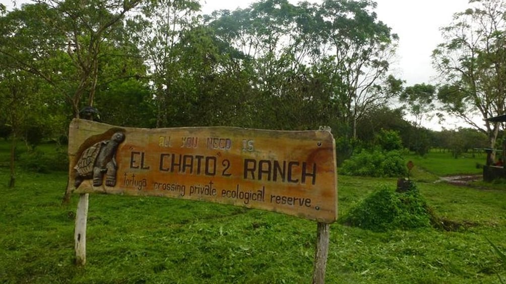 El Chato 2 Reserve Admission Ticket in Santa Cruz Island
