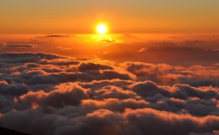 Haleakala ทัวร์ชมพระอาทิตย์ขึ้นสุดคลาสสิกพร้อมอาหารเช้า