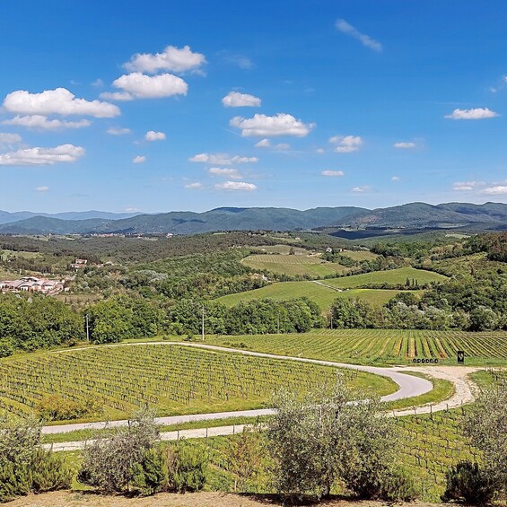 Chianti Wine Tour with Tuscan lunch. Open top van