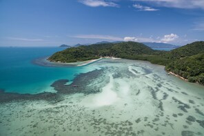 Half Day Koh Tan Island and Mangrove Forest Trekking
