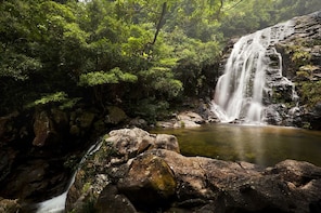 Tai Mo Shan Waterfall Adventure Hike