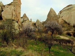 A Sunrise Walk in Fairyland Capadocia