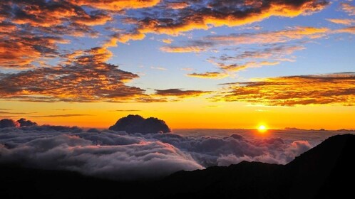 Haleakala Sunrise Bästa självguidade cykeltur