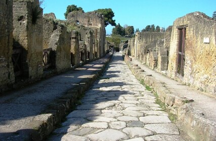 sorrento pompeii positano private tour expedia