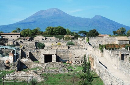 sorrento positano pompeii private tour expedia