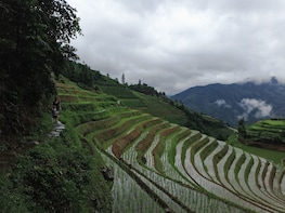 Guilin Airport Pick up & Longji Rice Terraces Private Tour