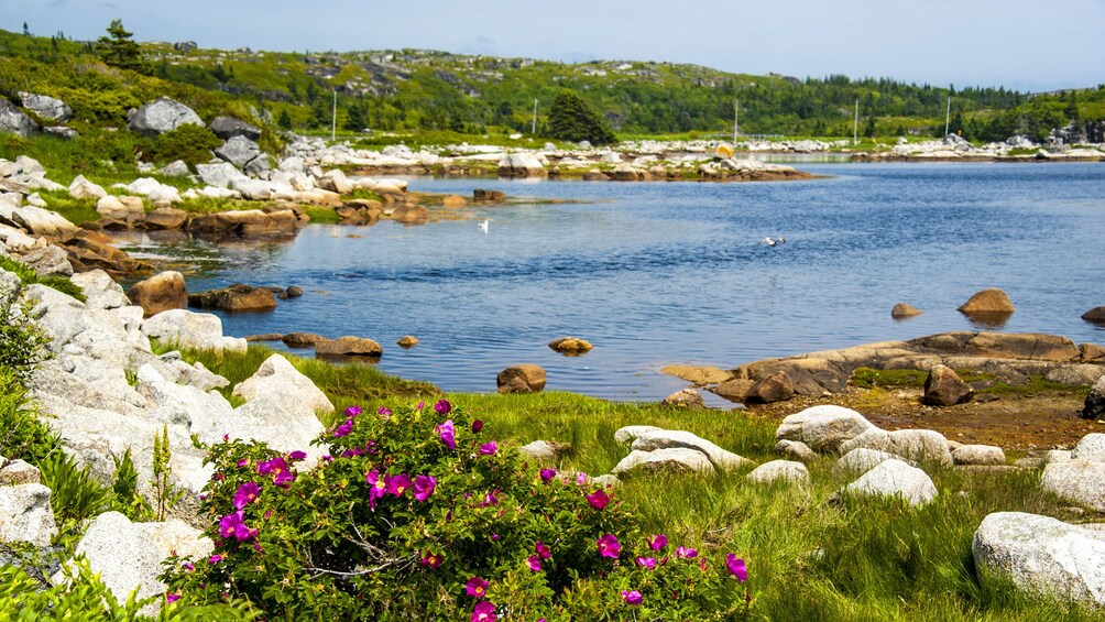 The Best of Halifax Tour with Peggy's Cove