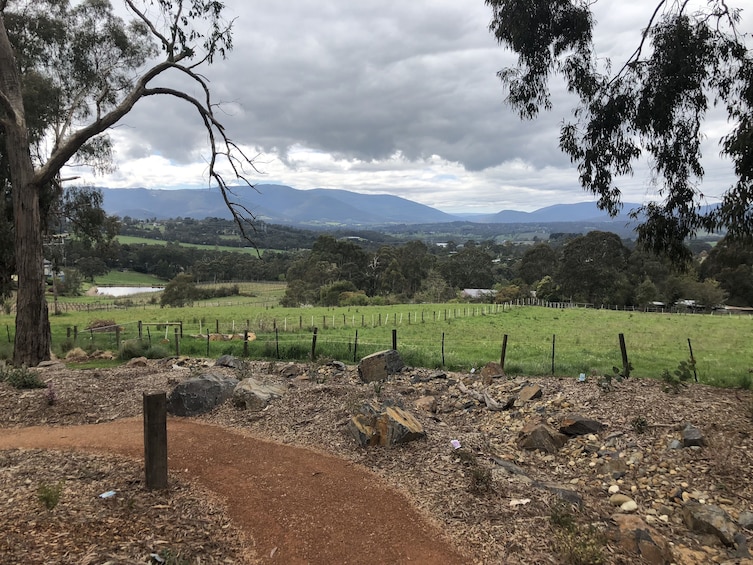 Show item 2 of 5. Private Car Mornington Peninsula Winery Tour plus lunch