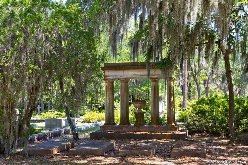 Show item 1 of 1. Victorian Cemeteries Van Tour