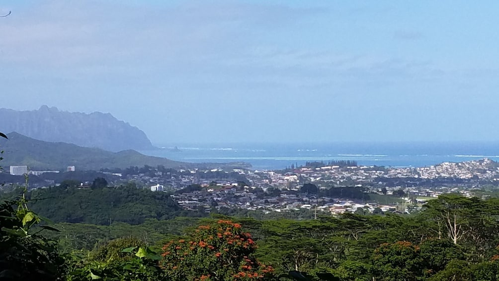 Koolau Waterfall Hike