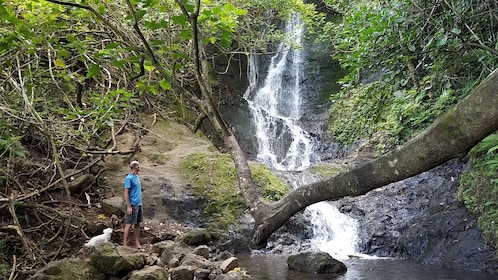 Vandring vid vattenfallet Koolau