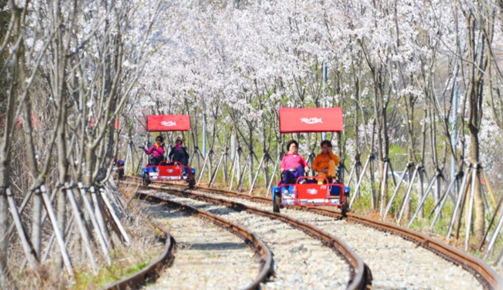 (Gratis meal) Nami  Island+Petite France+Gangchon Rail Bike 