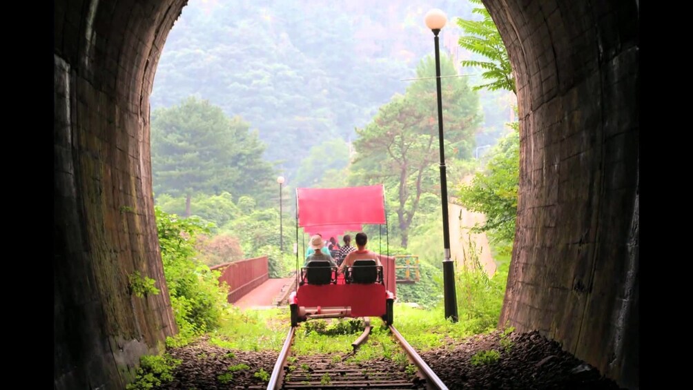 (Gratis meal) Nami  Island+Petite France+Gangchon Rail Bike 