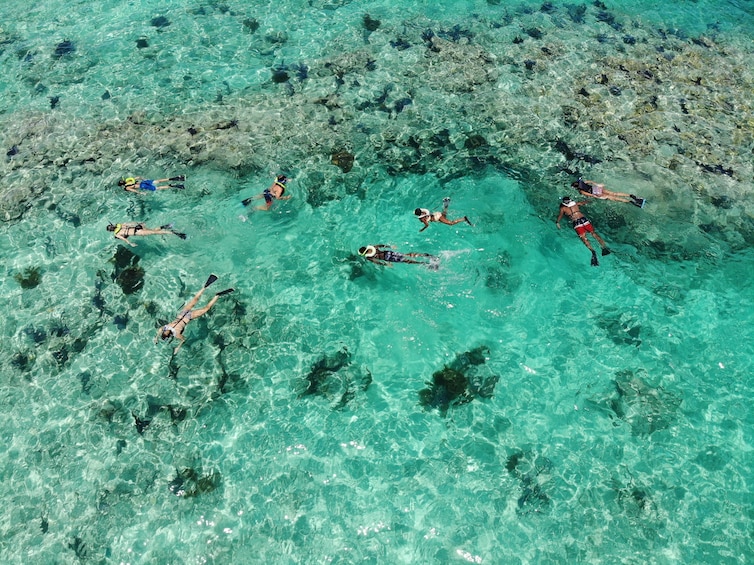 Aerial view of people snorkeling in Key West