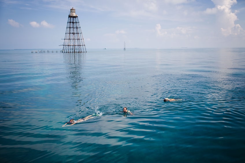 Three people snorkel in Key West
