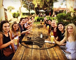 Sunday Funday Half Day Swan Valley Tour