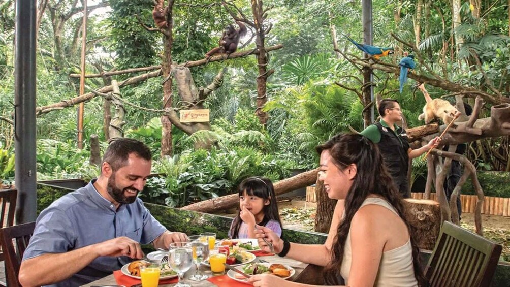 Singapore Zoo & 1-Way Transfer