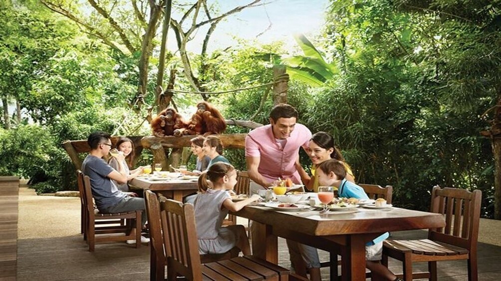 Singapore Zoo & 1-Way Transfer