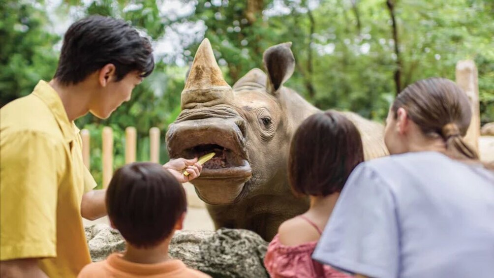 Singapore Zoo & 1-Way Transfer