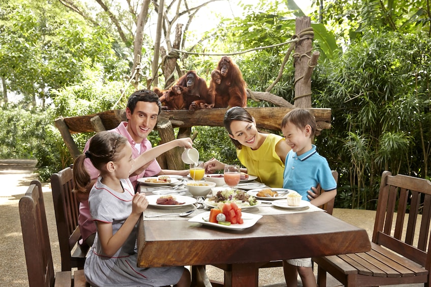 Singapore Zoo & 1-Way Transfer with Jungle Breakfast Option