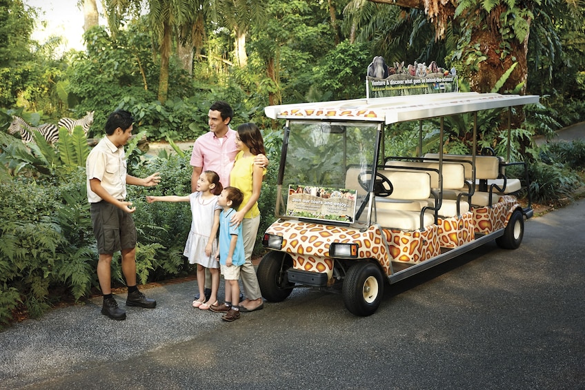 Singapore Zoo & 1-Way Transfer with Jungle Breakfast Option