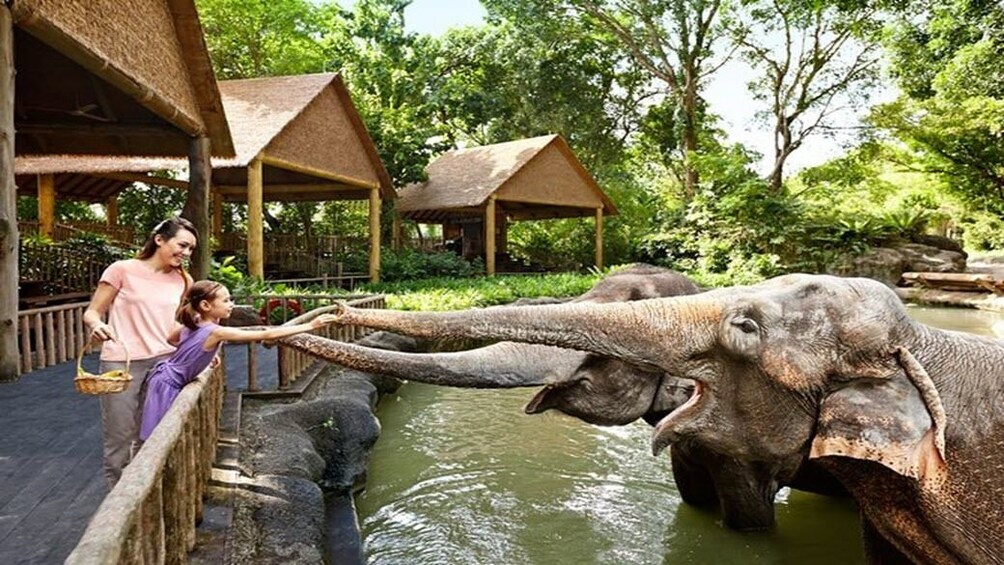 Singapore Zoo & 1-Way Transfer 