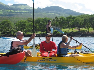 Zuid Maui Premier - Kajak & Snorkeltour