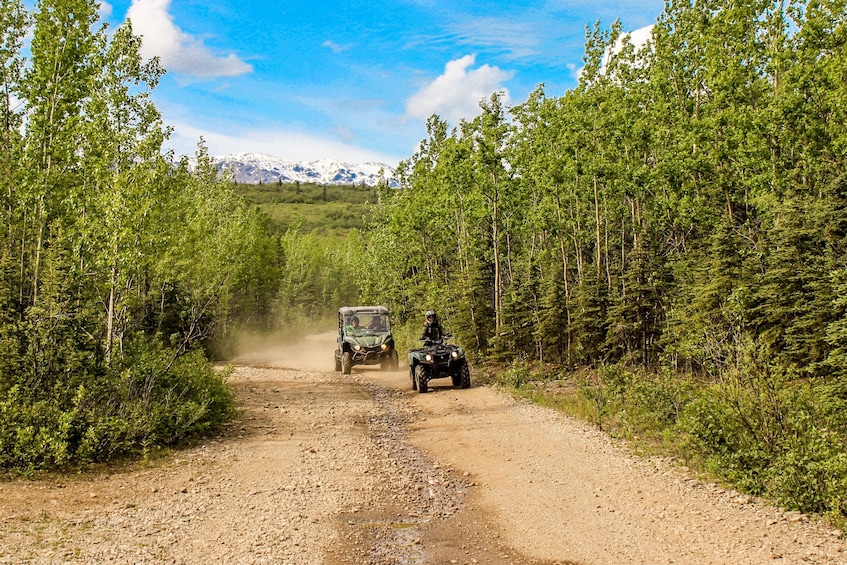 Show item 1 of 7. Denali Wilderness ATV Adventure